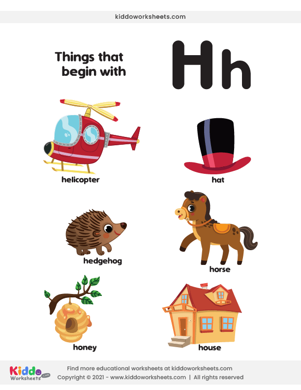 Science Words Beginning with H: Essential Terms in Scientific Vocabulary