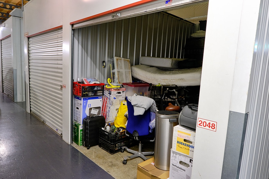 Business Setup Essentials: Storage Units, LLCs, Licenses, and Lawn Care Regulations