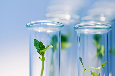 Science and Society: The Complex Relationship Between Scientific Progress and Social Context