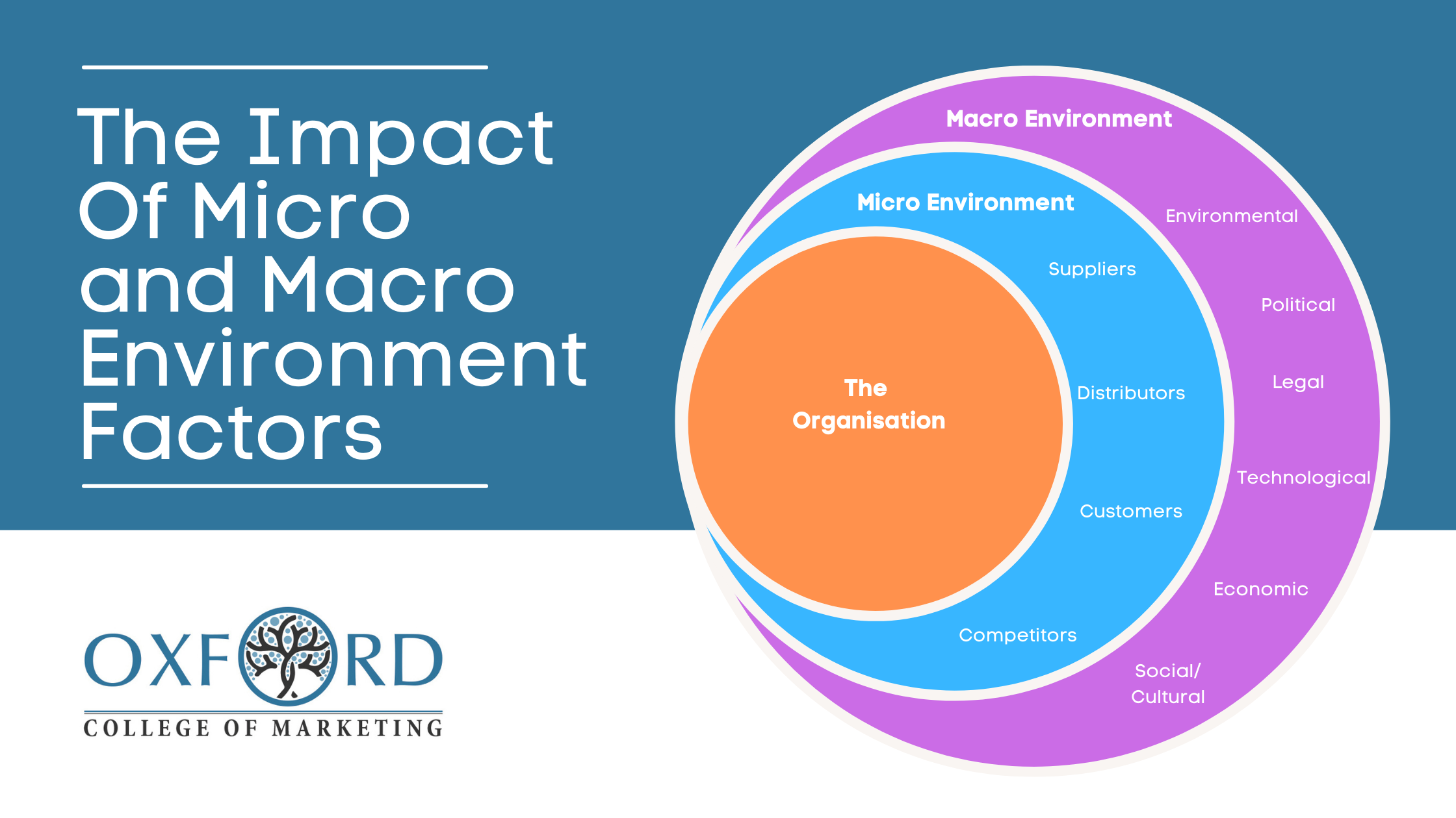 Macro Environment: Complete Guide to External Business Forces