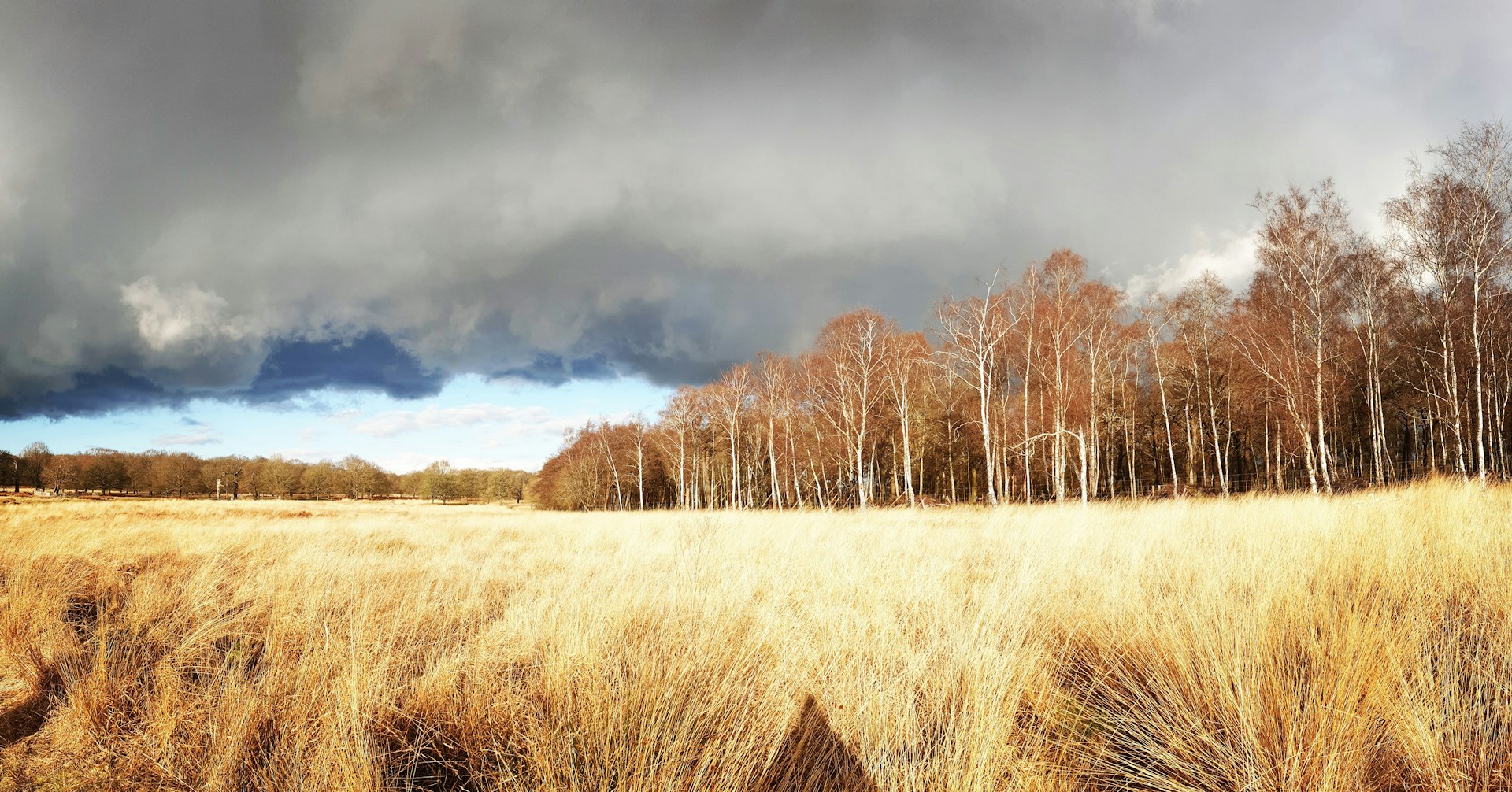 How Climate Risks Are Reshaping the Insurance Industry: Challenges, Innovation, and Actionable Strategies