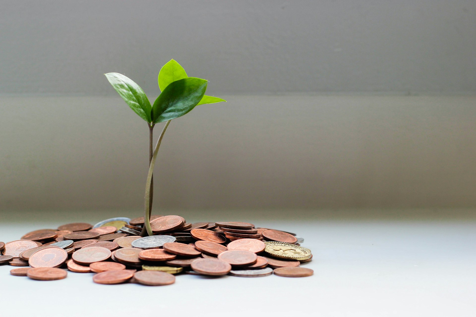 Unlocking Wealth: How Compound Interest Fuels Financial Growth