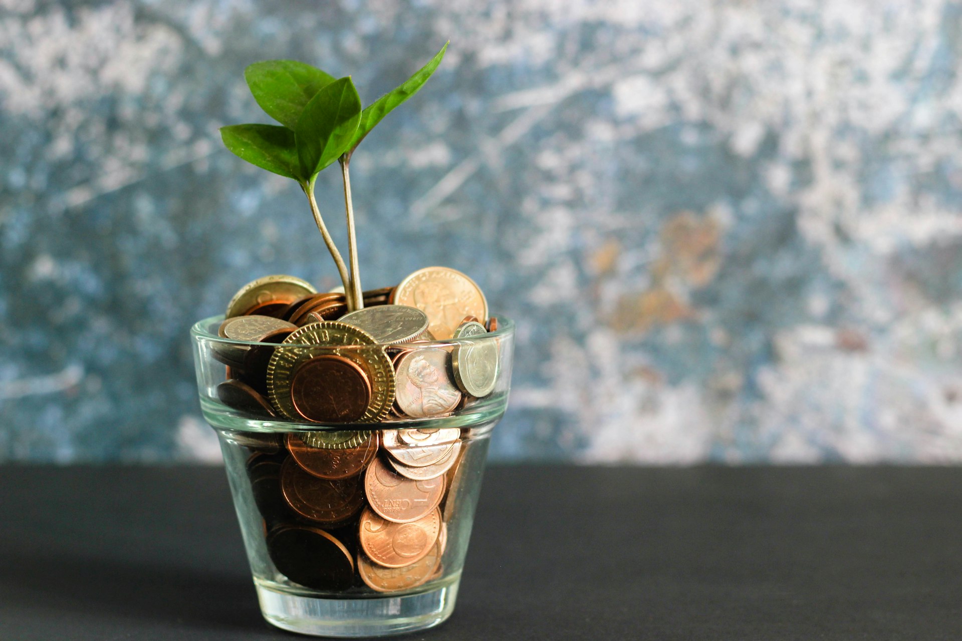 GreenPath Financial Wellness: Empowering Your Journey to Financial Health